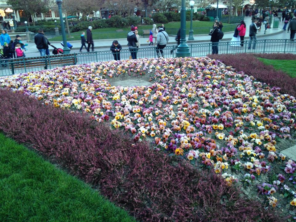 Spring Disneyland Paris