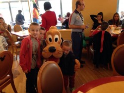 L'ami Pluto Café Mickey au Disney Village