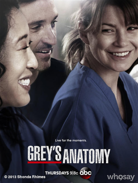 Affiche Grey's Anatomy Saison 10