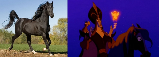  Jafar et son cheval