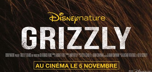 Image Une - Grizzly