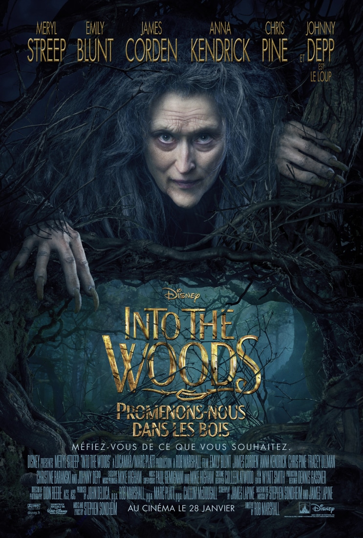 Into the Woods (27)