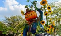 Halloween 2015 Disneyland Paris