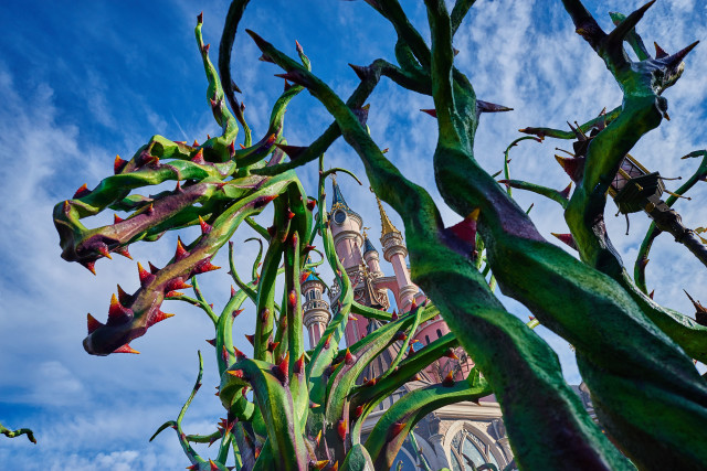 Halloween 2015 Disneyland Paris_Cour Malefique Court Maleficent