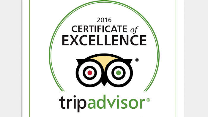 Disneyland Hotel a remporté un certificat d'excellence TripAdvisor