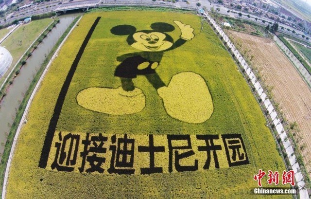shanghai-mickey-mouse-rice-field-2