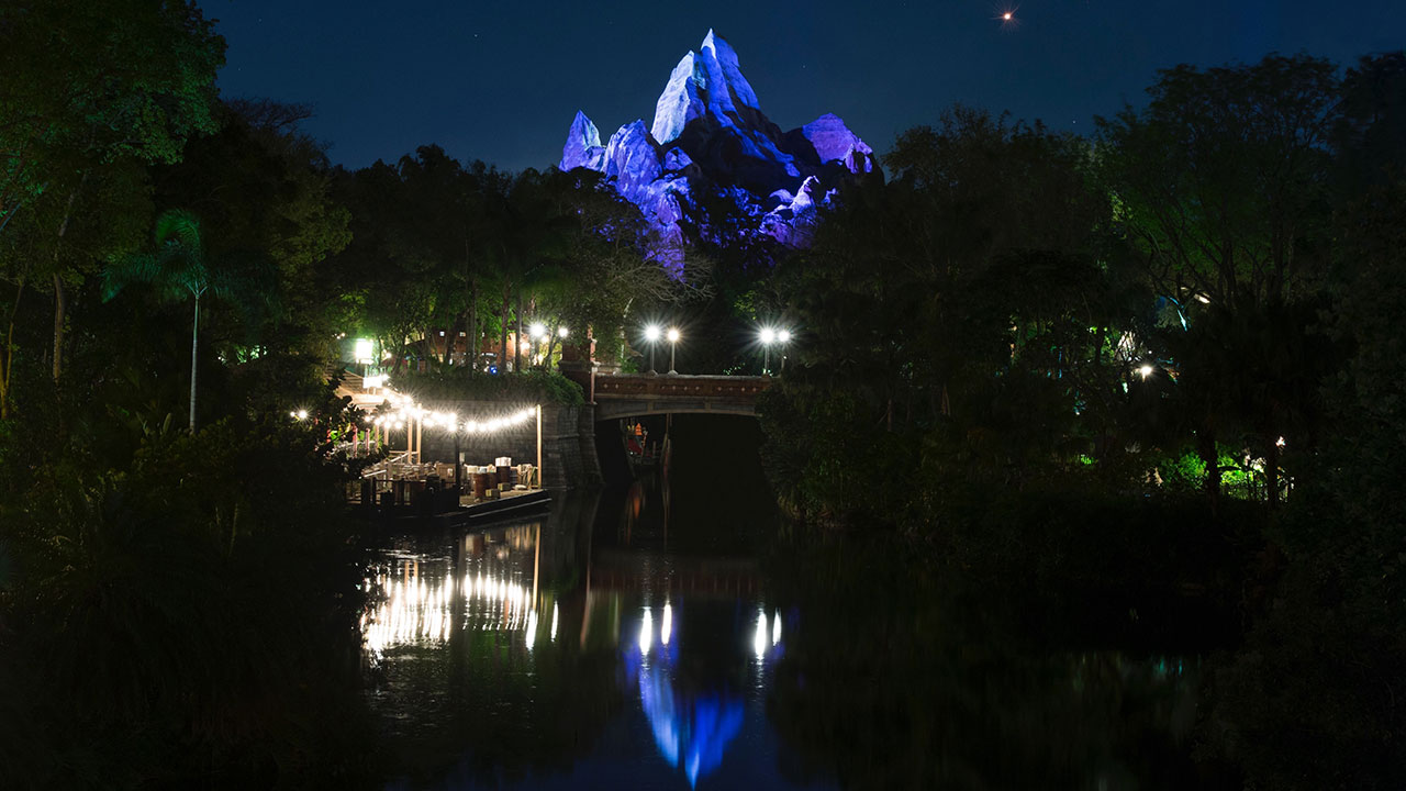 Vue nocturne du parc Disney's Animal Kingdom