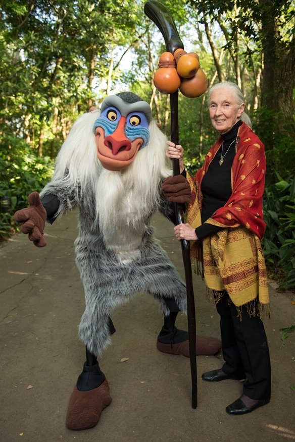 Dr Jane Goodall à Animal Kingdom