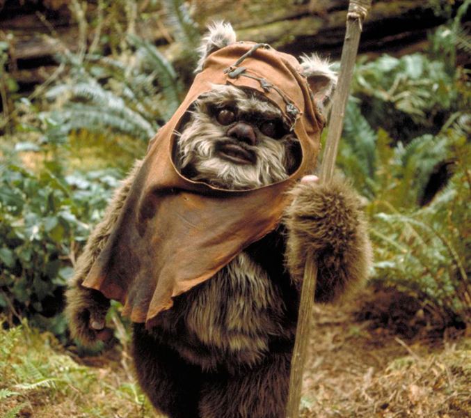 L'Ewok Wicket, rôle le plus emblématique de Warwick Davis dans la saga Star Wars