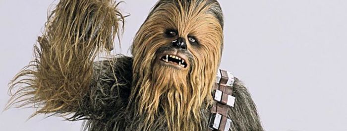 Chewbacca passage de flambeau chez Star Wars 