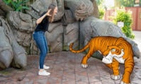 Nouveau Magic Shot de Shere Khan au parc Disney Animal Kingdom