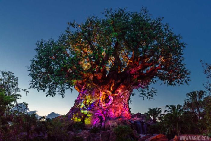 photo du Tree of Life au parc Disney's Animal Kingdom