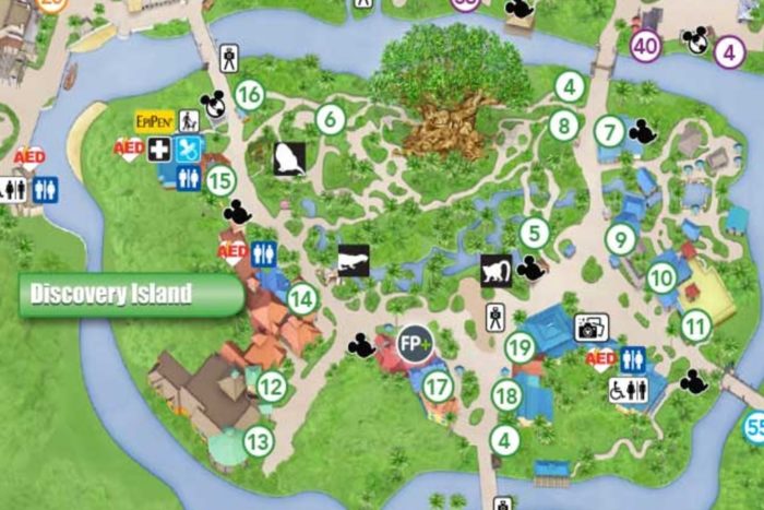 Photo de la carte de Discovery Island au Disney's Animal Kingdom