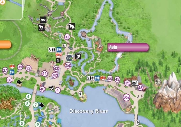 Photo du la carte du Land Asia au Disney's Animal Kingdom