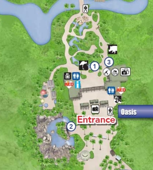 Photo de la carte du land de "L'Oasis" au Disney's Animal Kingdom