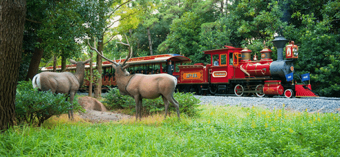 Adventureland - Western River Railroad