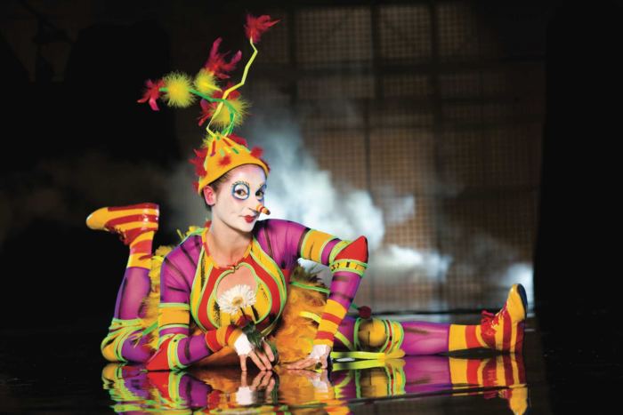 Photo du spectacle La Nouba du Cirque du Soleil