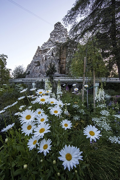 Photo de l'attraction Matterhorn Bobsleds au Fantasyland du parc Disneyland de Disneyland Resort.