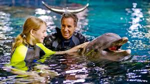 Photo de l'EPCOT Seas Adventures, l'une des activités suprenantes à Walt Disney World Resort.