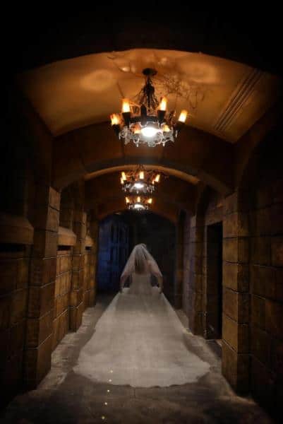 Photos d'une photo de l'Haunted Mansion Wedding.