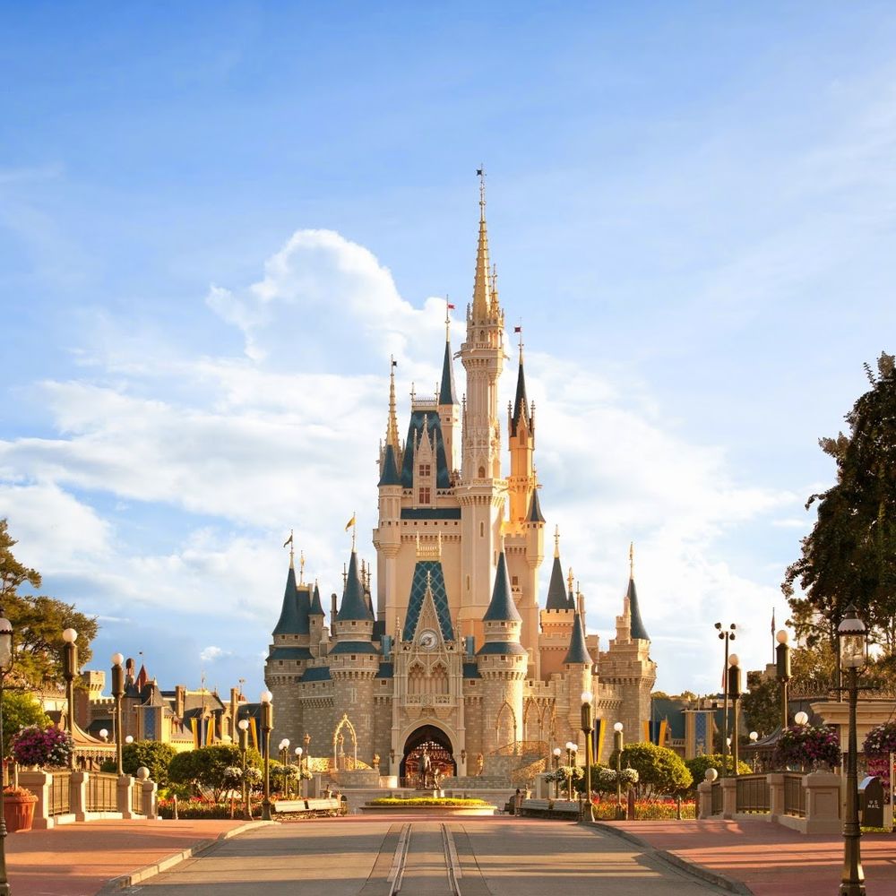 Activit s surprenantes  faire  Walt  Disney World  Resort