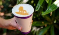 Photo des snacks Roi Lion disponibles durant l'été au parc Disney's Animal Kingdom.