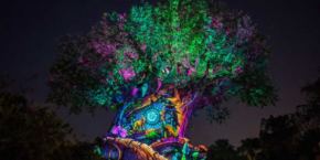 Photo du Tree of Life qui aura une projection spécial pendant le réveillon du nouvel an à Disney's Animal Kingom.