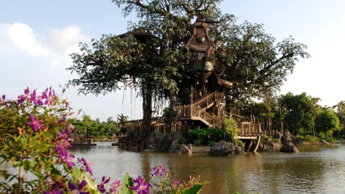 Tarzan Adventureland Hong Kong Disneyland