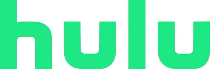 Hulu, le géant américain à l'abordage de Star sur Disney +
