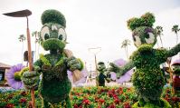 Photo des topiaires présentes pendant le Taste of Epcot Internationnal Flower & Garden Festival