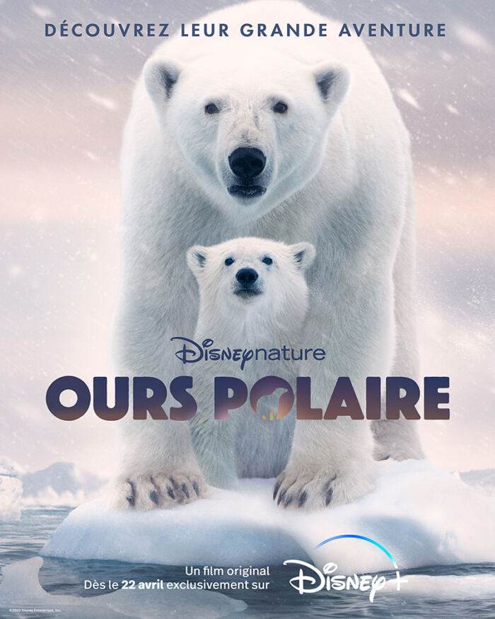 affiche ours polaire disneynature