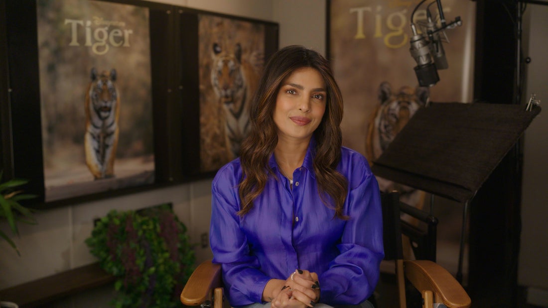 Une femme en chemise bleue assise devant un micro avec des portraits de tigres Disneynature en arrière-plan.