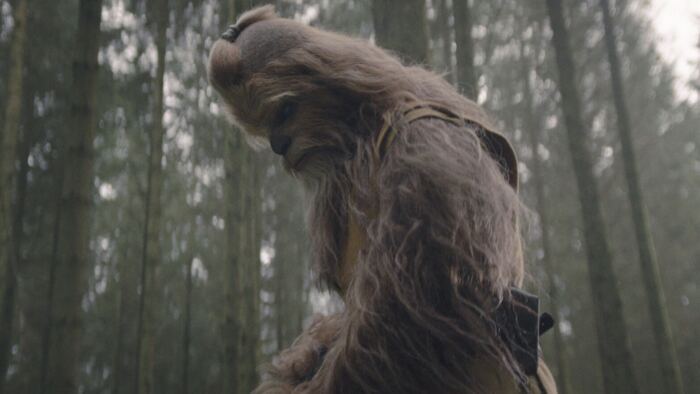 Un personnage Wookiee, probablement Chewbacca, debout dans un décor forestier brumeux, évoquant la mystique d'un acolyte de Star Wars.