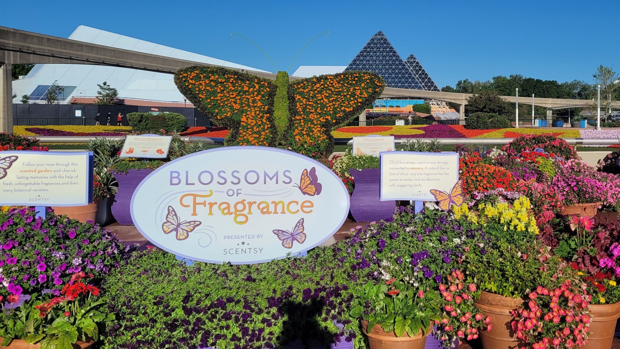 Blossoms of Fragrance Presented by Scentsy